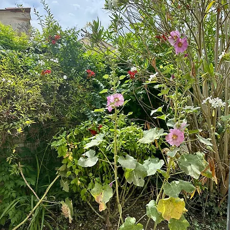Casa de Férias L'air Du Large Bourcefranc